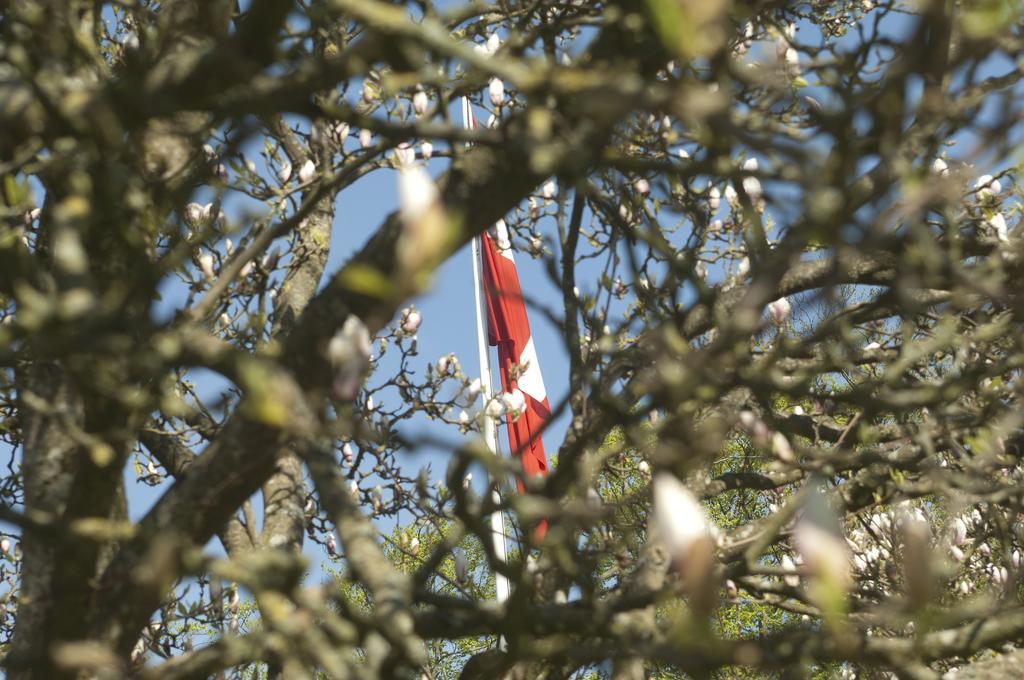 Purhus Kro Ξενοδοχείο Fårup Δωμάτιο φωτογραφία